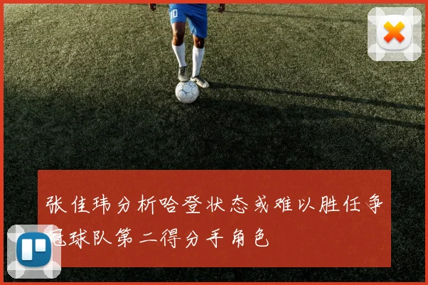 张佳玮分析哈登状态或难以胜任争冠球队第二得分手角色